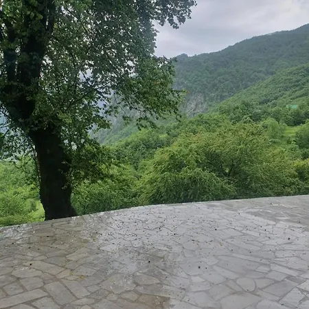 Davisol Guest house