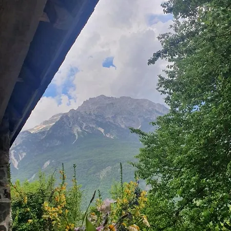 Davisol Penzion *