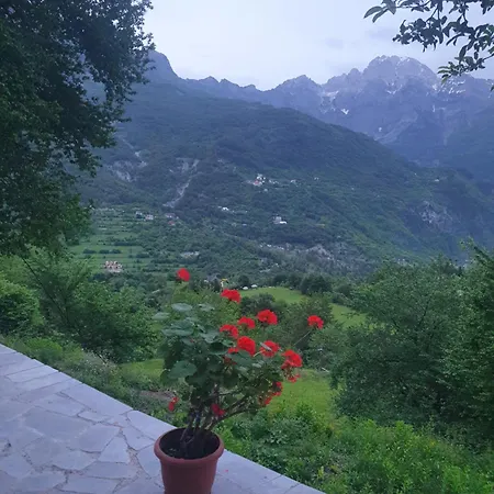 Davisol Penzion *