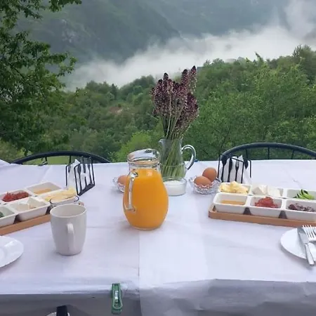 Davisol Guest house *