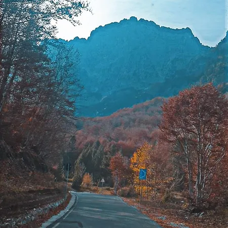 Penzion Davisol