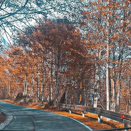 Davisol Konukevi 3*